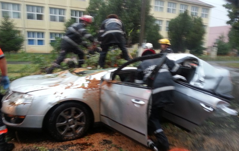 Un bărbat a murit după ce UN COPAC S-A PRĂBUŞIT PESTE MAŞINA LUI! | FOTO