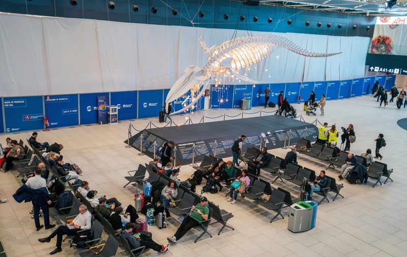 Român dat dispărut în Aeroportul Fiumicino din Italia. Detaliul care îngreunează căutările