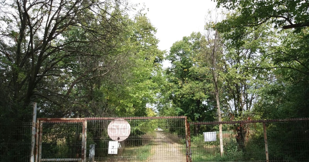 Ferma Copiilor sau povestea trăită pe viu ”de la furcă în farfurie”, de la brazda tractorului la pâinea de pe masă, este acum în fază de proiect gândit pentru liceenii care învață la Colegiul Agricol ”Viaceslav Harnaj” din Capitală, dar și pentru studenți.