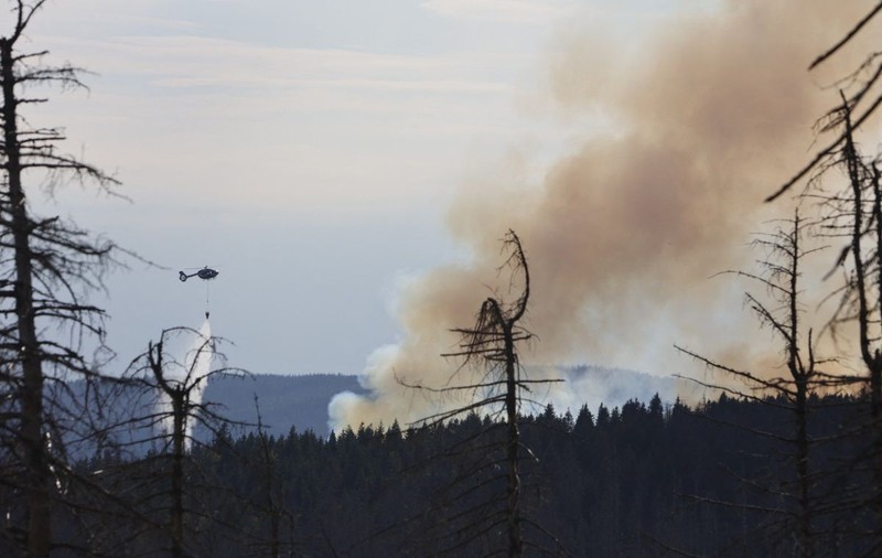 Incendiu de pădure în nordul Germaniei. Zeci de hectare sunt afectate, iar focul se extinde