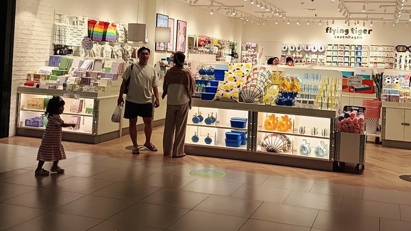 Retailerul danez Flying Tiger Copenhagen, cunoscut pentru gama sa variată de produse accesibile, de la jucării și articole de papetărie până la decorațiuni și gustări, își anunță intrarea pe piața din România în 2027. 