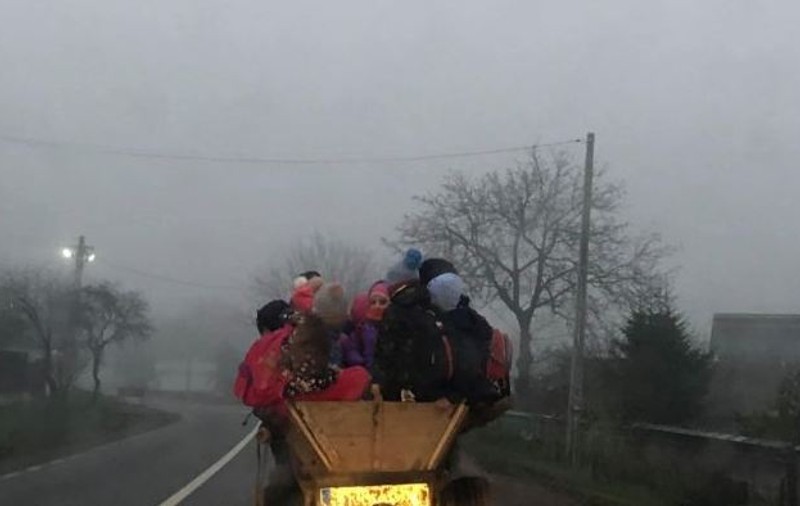 Adriana Nedelea LA FIX | Copiii dintr-o comună din Bacău merg la școală cu căruța. Viceprimarul: „Noi ce putem să facem?”