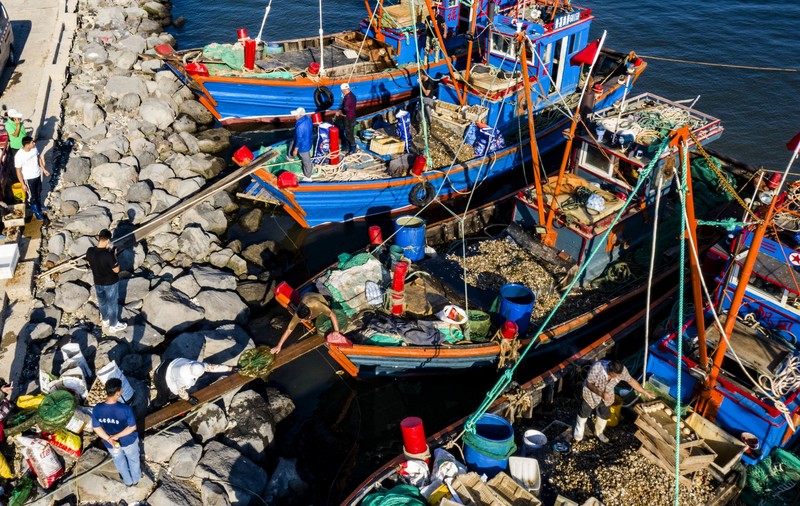 China testează pentru COVID peștii și fructele de mare vii, de teama unui nou focar masiv în Xiamen