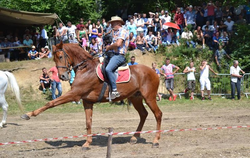 Caii au făcut spectacol la Festivalului Naţional Ecvestru de la Râşnov, desfășurat în weekend / FOTO