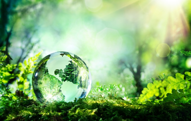 Polistirenul expandat (EPS): Costuri energetice si impacul asupra mediului