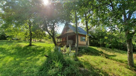 Cabana de vis pe care și-a construit-o britanicul Richard Johnson într-un cătun din Transilvania
