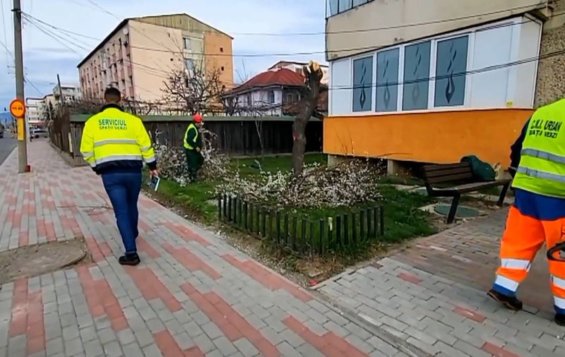 Primarul din Piatra Neamț taie peste 200 de pomi fructiferi pentru că „pătează asfaltul”. „Vom planta arbori ornamentali”