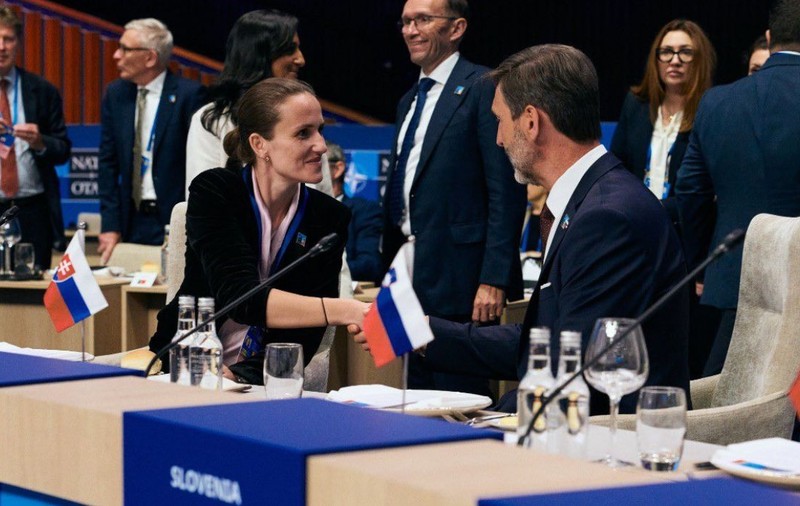 Oana Ţoiu, la Consiliul NATO-Ucraina: România protejează graniţa Uniunii Europene | Investiţiile NATO şi ale UE să crească