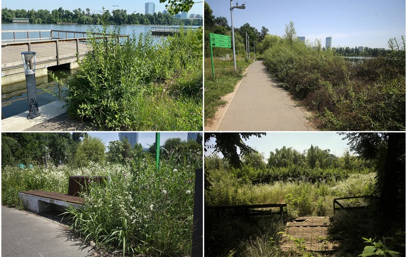 Jungla din nordul Bucureștiului. Cum au ajuns să arate două dintre „oazele de relaxare” ale Capitalei