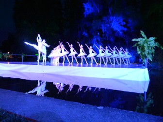Arhiva foto