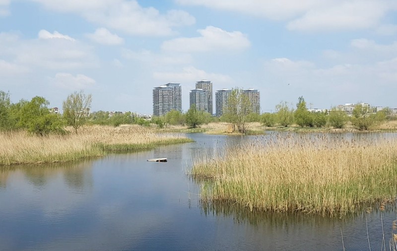 Se înființează Administrația Parcul Natural Văcărești, care se va ocupa de întreținerea parcului
