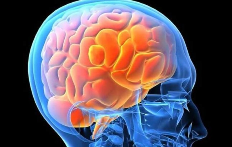 Care este primul semn al instalării bolii Alzheimer