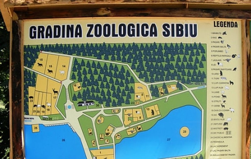 Ghid virtual pentru vizitatorii ZOO Sibiu! Află informații de pe o aplicație pe mobil