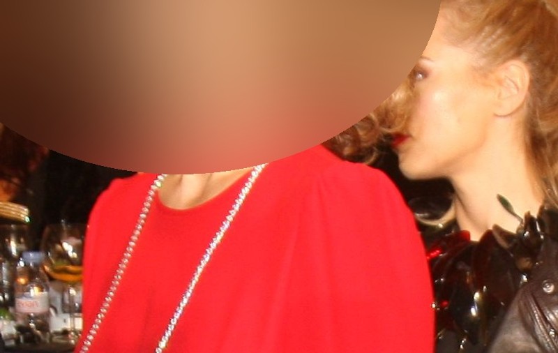 ESTE O ADEVĂRATĂ DOAMNĂ! A FOST PATA DE CULOARE DE LA GALA ELLE 2013! | FOTO
