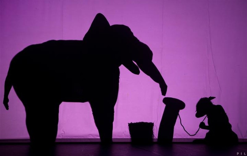 Shadowland, FABULOSUL DANS AL UMBRELOR, în premieră în România