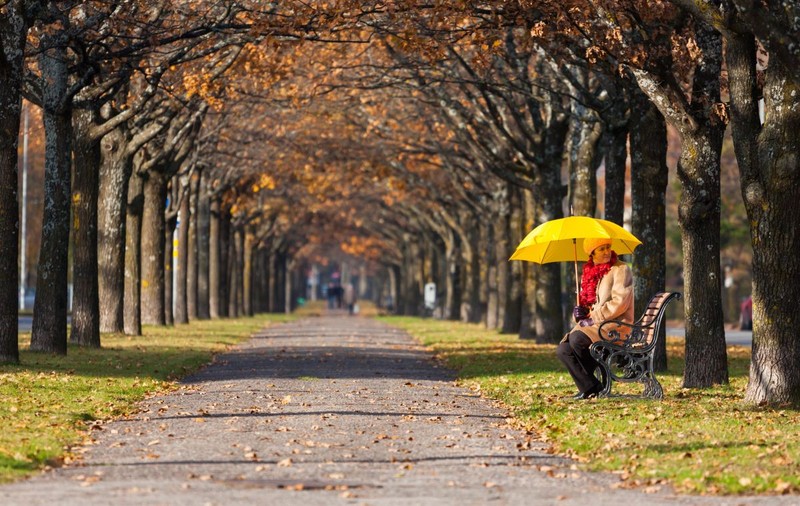 Prognoza meteo pentru următoarele două săptămâni. Cum va fi vremea în a doua parte a lunii septembrie