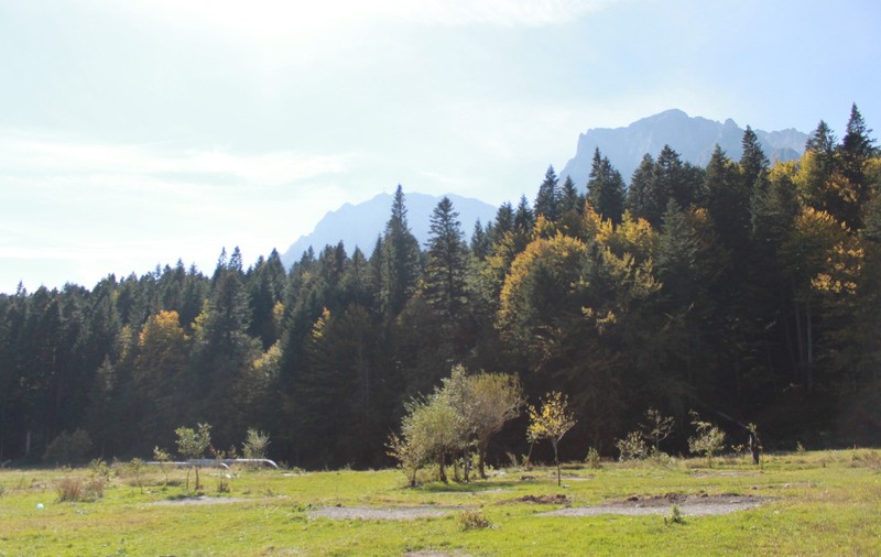 Războiul de 20 de ani pentru 60 de hectare de teren într-o zonă exclusivistă din Valea Prahovei. Miza, peste 36 milioane de dolari: „S-a făcut o măgărie”