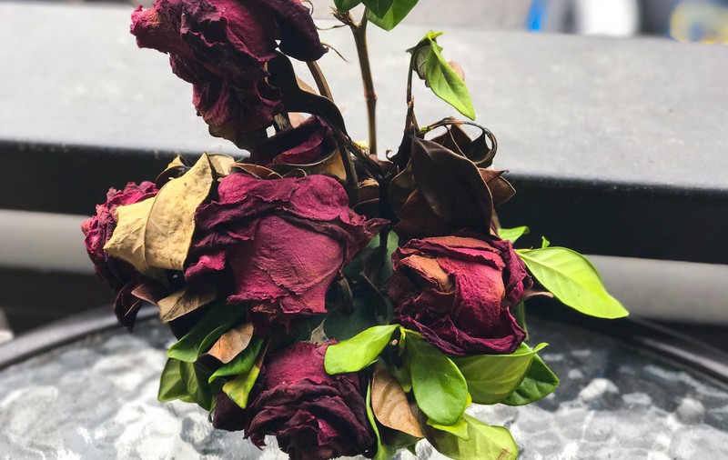 Cum salvezi florile ofilite. Trucul ieftin și rapid