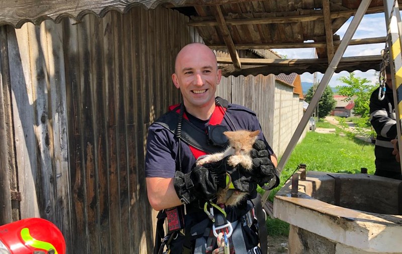 Pompierii din Brașov au salvat un pisoi căzut într-o fântână