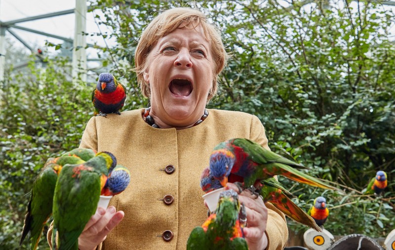 Imaginea zilei: Angela Merkel, ciupită de papagali, în timpul unei vizite la parcul de păsări din Marlow