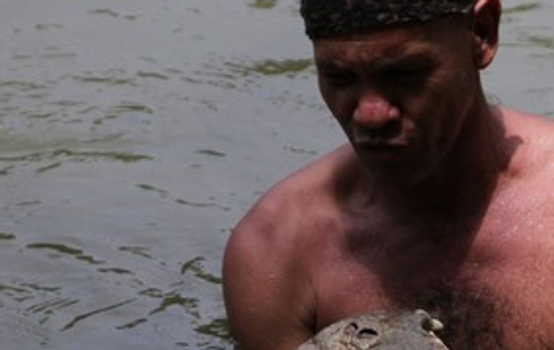 Foto & Video| Caz unic în lume! Un bărbat a reuşit să transforme un crocodil într-un animal domestic