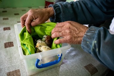 Lenuţa poartă o verighetă pe care şi-a cumpărat-o singură