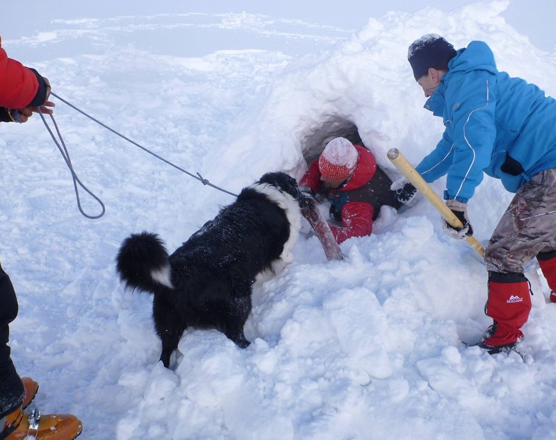 REPORTAJ/Povestea câinilor de avalanșă Helios și Dara sau încrederea de nezdruncinat dintre om şi animal: "Unde merg eu, merg şi ei"/ FOTO