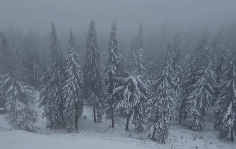 Drumul din Sinaia către Cota 1400 a fost închis sâmbătă din cauza zăpezii