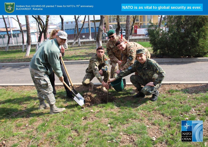 Militarii români și străini din cadrul Comandamentului Multinaţional de Divizie Sud-Est au plantat șapte copaci în primăvară, când NATO a împlinit 70 de ani