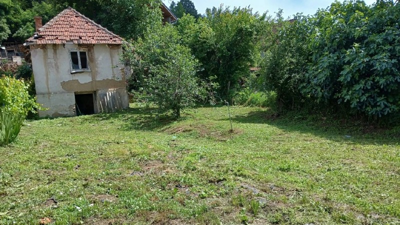 Casă veche lângă Dunăre, Brnjica, Serbia, de vânzare cu 10.000 de euro Sursa foto: Facebook/ Blic.rs