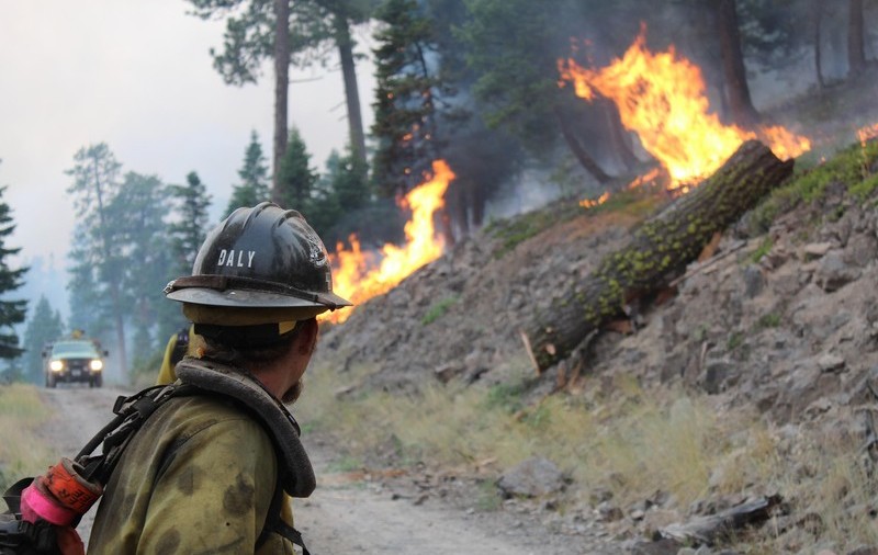 Un băiat a fost găsit mort, într-o mașină, cu câinele în brațe, după ce a încercat să scape de incendiile din Oregon