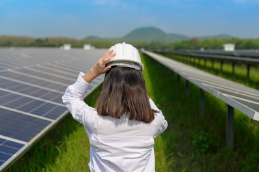 Proiectul arădean ar urma să permită în continuare pășunatul | Foto: 123rf.com