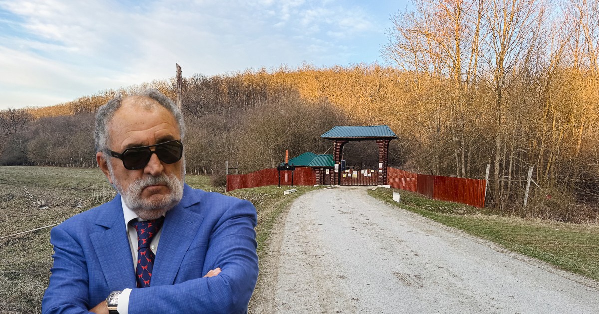 Arhiva foto