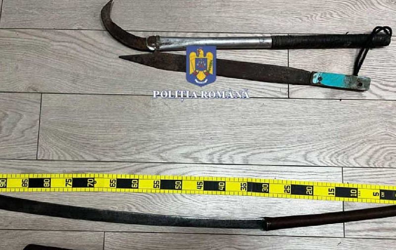 Tribunalul Brăila a pedepsit serios doi frați care au tăbărât cu bâtele și furca pe un bărbat, în dosarul „Pășunea criminală”