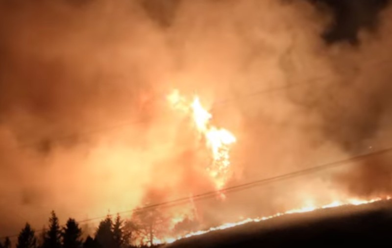 200 de hectare de pădure, mistuite de incendiu, în Elveția. Turiștii care l-au declanșat au sunat la pompierii din Germania: „Așa am găsit pe Google”