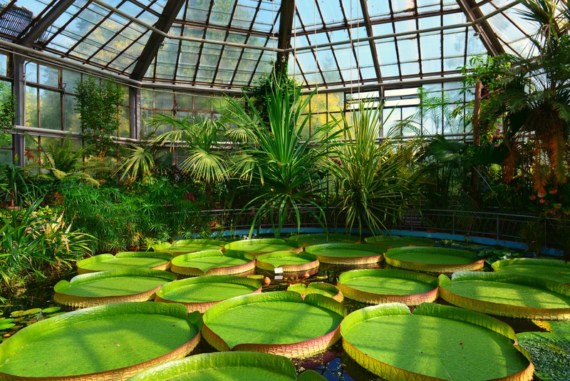 Grădini botanice din România - Grădina Botanică Alexandru Borza din Cluj