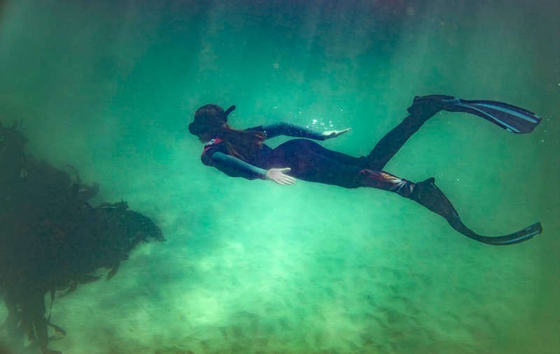 VIDEO | Peste 100 de noi specii marine, descoperite în Patagonia de doi biologi