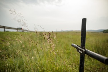 Crucea lui Niculiță de pe marginea drumului, în dreptul locului în care a murit