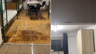 podea-tavan-umed-infiltratii-apa-timisoara-camin-ploaie-3-oct-2025