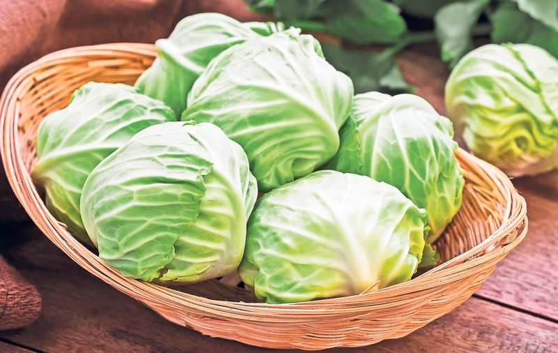 Varză pentru toate gusturile! 7 rețete DELICIOASE
