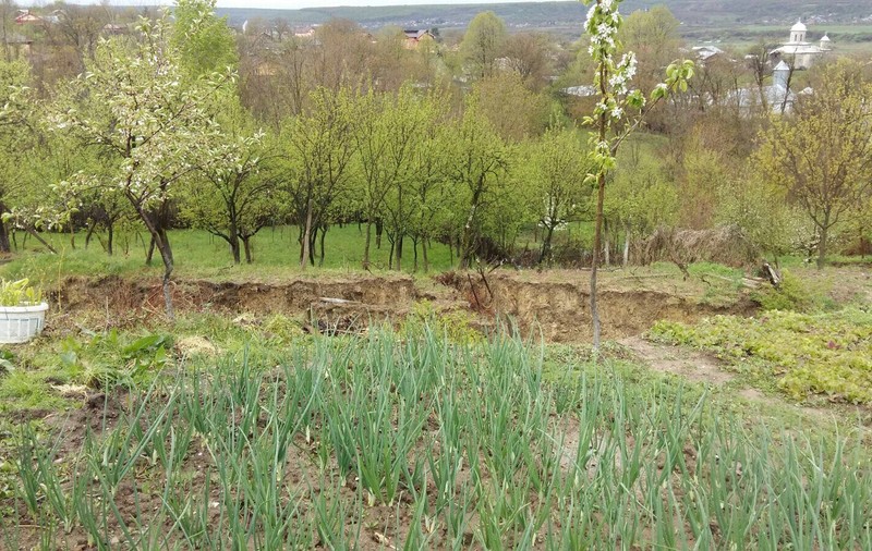 VIDEO / Alunecare de teren în Prahova. Șase proprietăți au fost distruse în totalitate