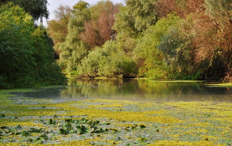 Profită de reducerile de pană la 45%. Descoperă Delta Dunării la început de toamnă!