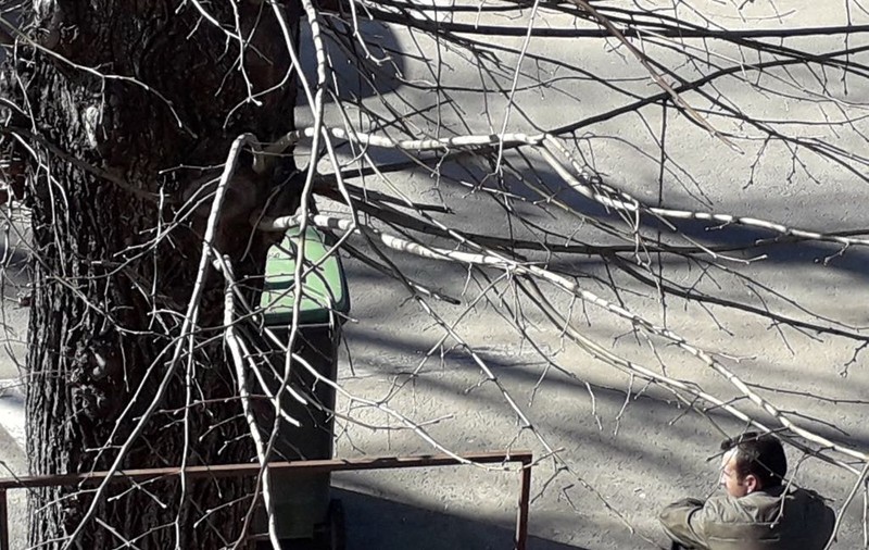 Piromanul din București a fost surprins când incendia o mașină! Proba care l-a înfundat definitiv