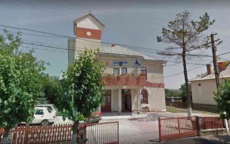 Primăria din Botoșana