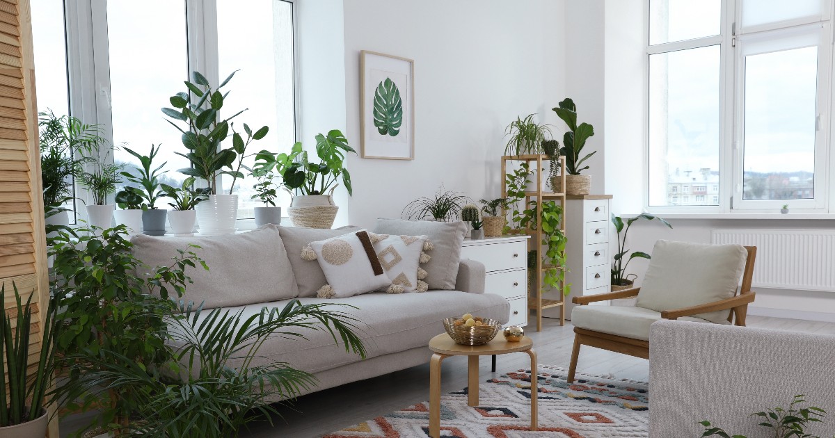 Imaginea prezintă un living luminos, amenajat în stil boho-chic, care abundă în plante verzi de interior, așezate pe pervazuri largi, pe rafturi și pe podea, lângă mobilierul bej. Camera este decorată cu o canapea confortabilă, un fotoliu, o comodă albă, și un covor cu motive etnice în nuanțe calde.