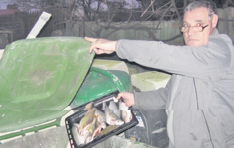 A găsit viermi în peşte