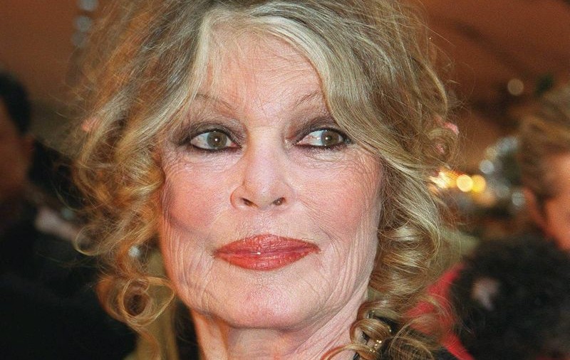 Brigitte Bardot cere stoparea masacrării dromaderilor australieni