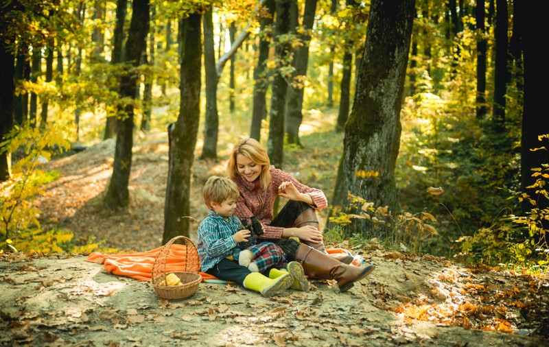 Păduri pe lângă București, ideale pentru ieșit la picnic