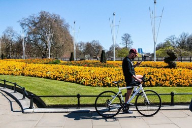 Imagine din grădina Palatului Buckingham | Foto: Profimedia