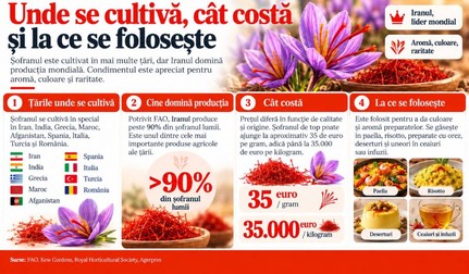 Șofranul este numit adesea „aurul roșu”, iar prețul lui explică imediat de ce. Se cultivă în mai multe țări, dar Iranul este lider, mondial și ajunge în preparate celebre din toată lumea. Imagine generată cu ajutorul Inteligenței Artificiale